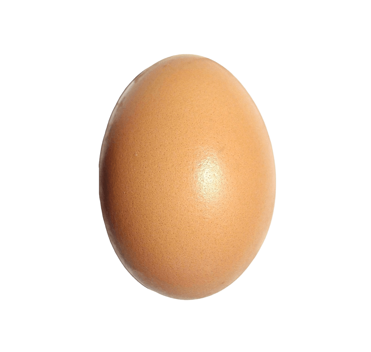 بيض 1حبه