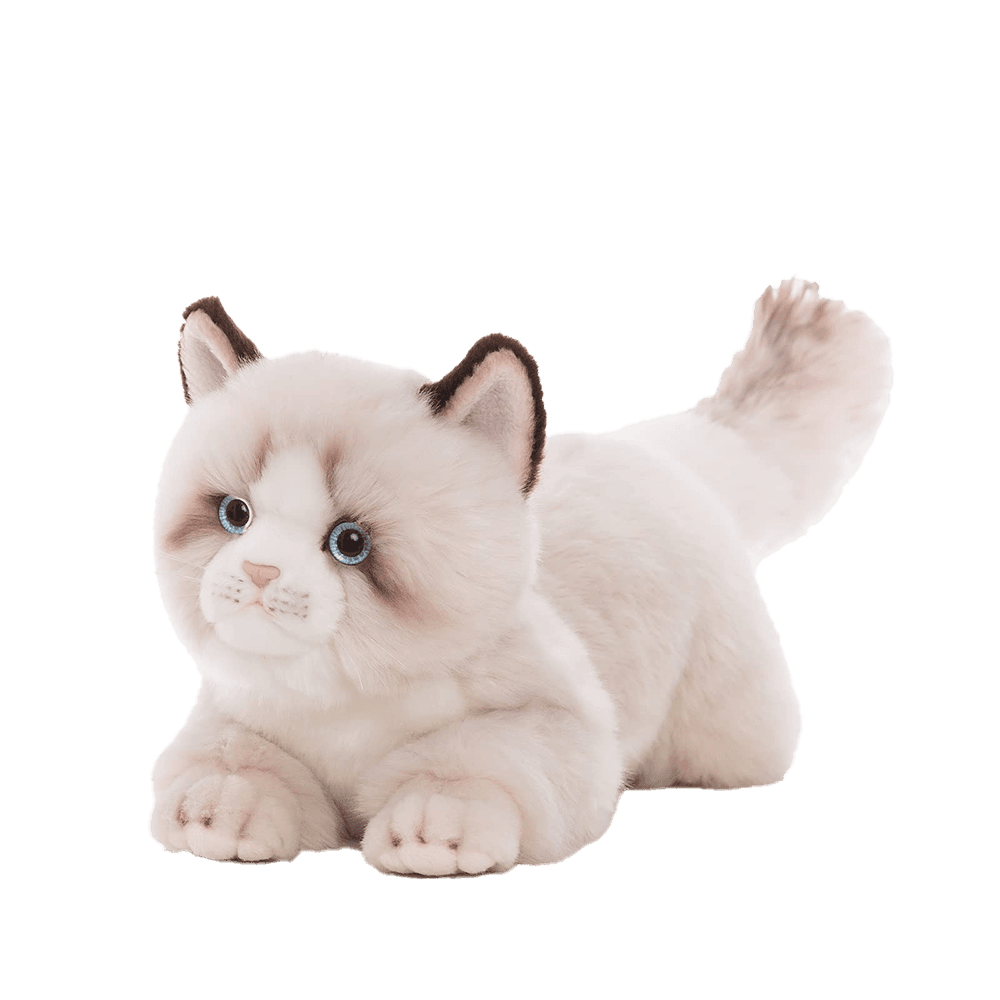 الرواد العاب قطة